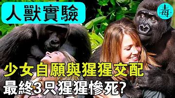 狗人交|Videos Tagged 国产人兽